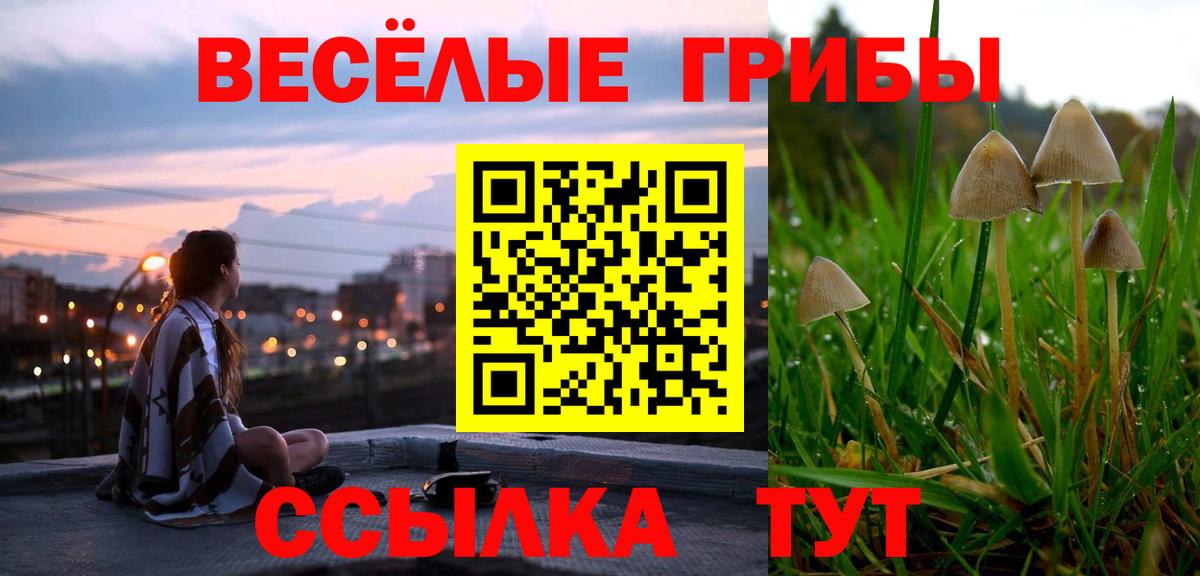 Псилоцибиновые грибы GOLDEN TEACHER  Вход с VPN  Пугачёв 